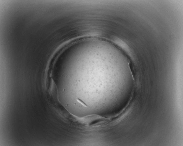 X0000088920924200706151922