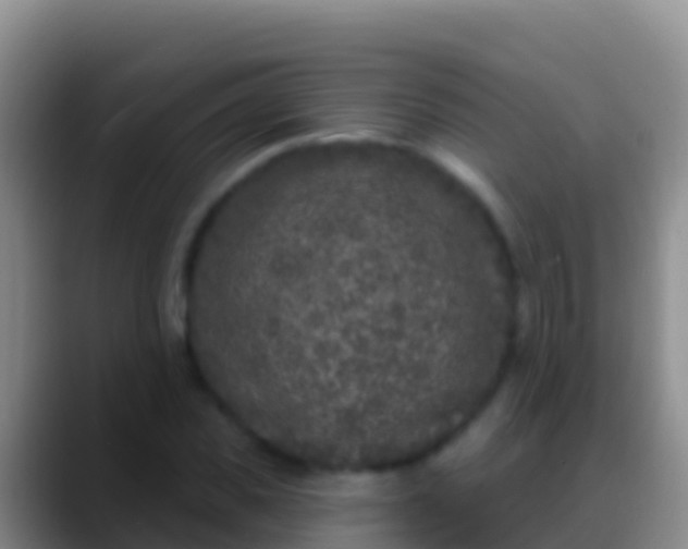 X0000088920925200706151922