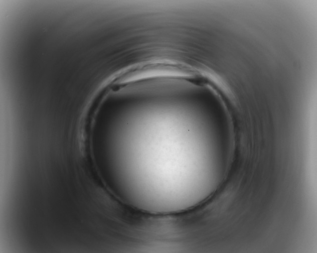 X0000088920926200706151922