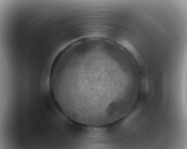 X0000088920928200706151922