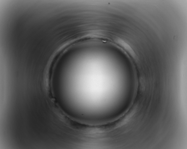 X0000088920931200706151922