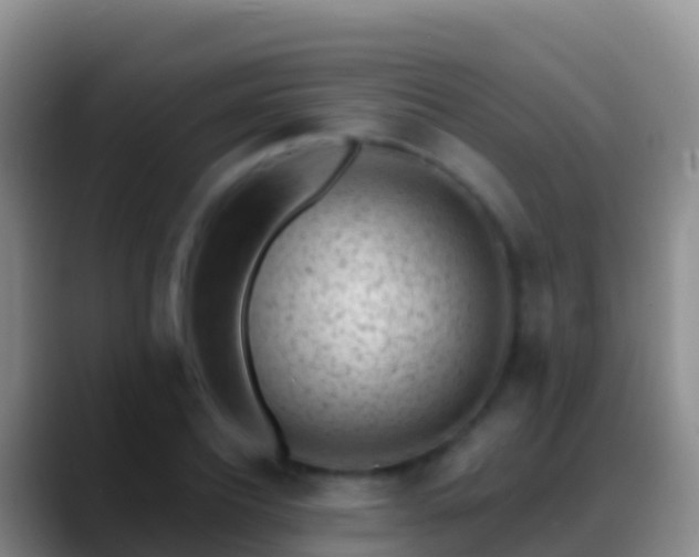 X0000088920932200706151922