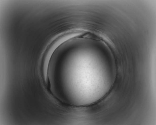 X0000088920934200706151922