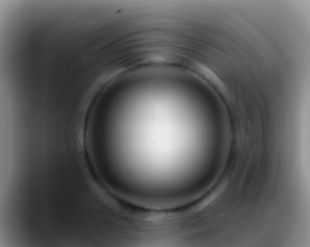 X0000088920938200706151922