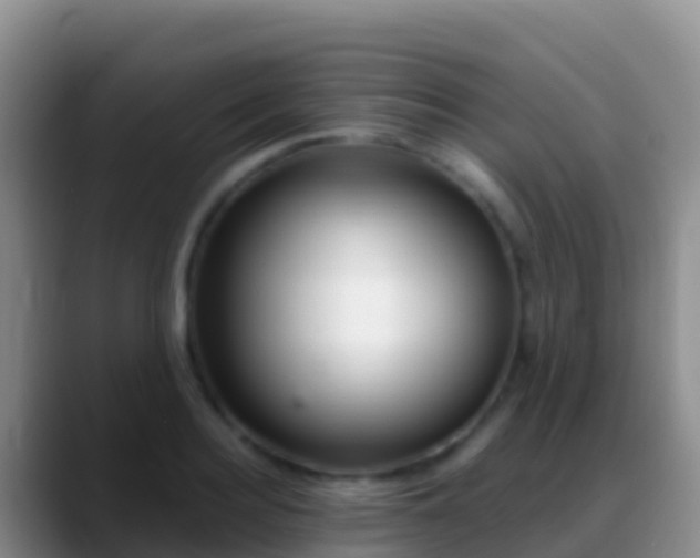 X0000088920940200706151922