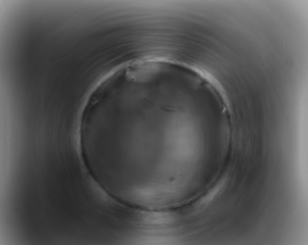 X0000088920941200706151922