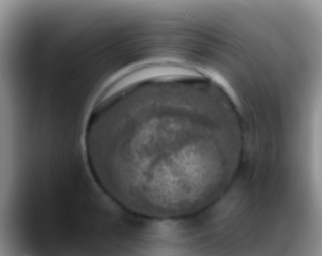 X0000088920943200706151922