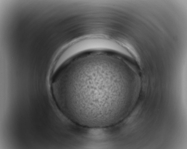 X0000088920944200706151922