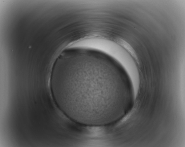 X0000088920946200706151922