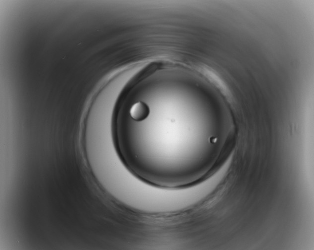 X0000088920948200706151922