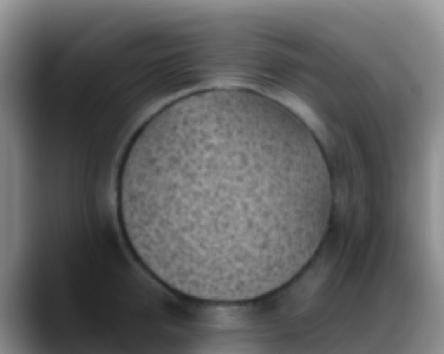 X0000088920950200706151922