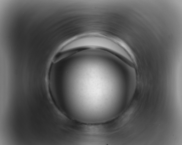 X0000088920951200706151922