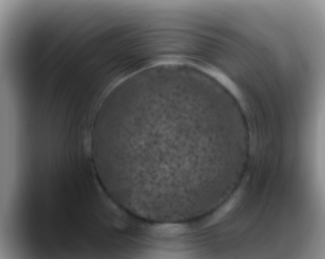 X0000088920953200706151922