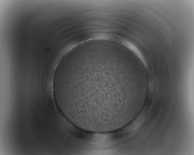 X0000088920954200706151922