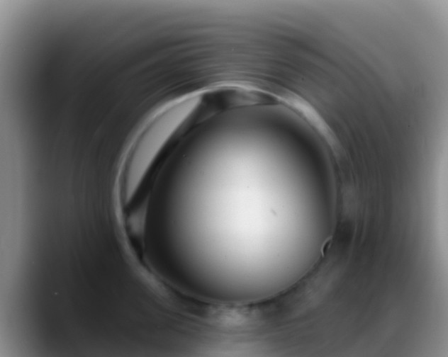 X0000088920955200706151922
