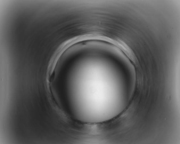 X0000088920956200706151922