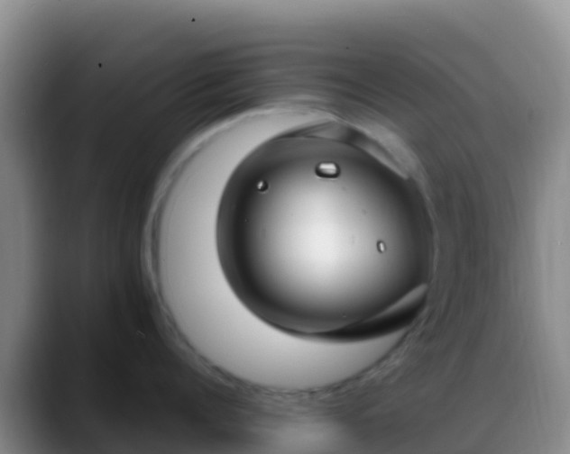 X0000088920960200706151922