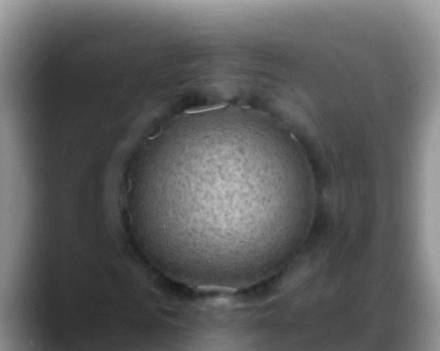 X0000088920961200706151921