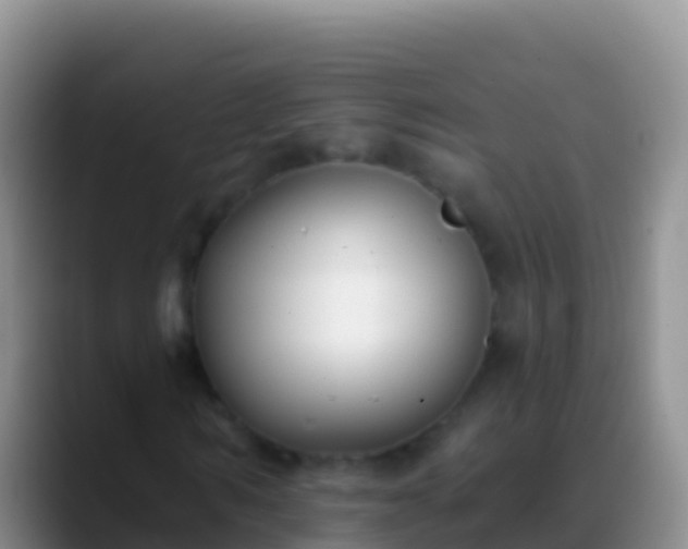 X0000088920962200706151921