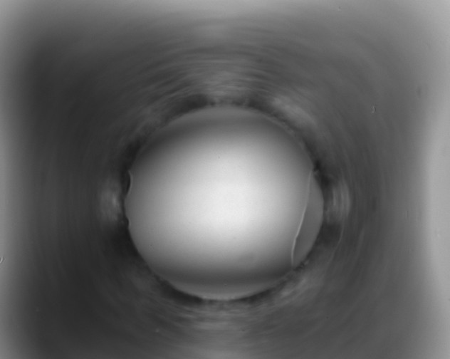X0000088920963200706151921