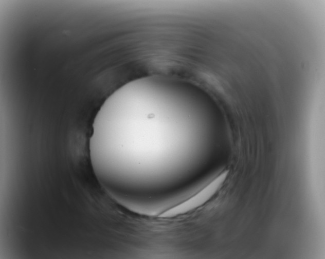 X0000088920964200706151921