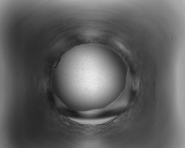 X0000088920965200706151921