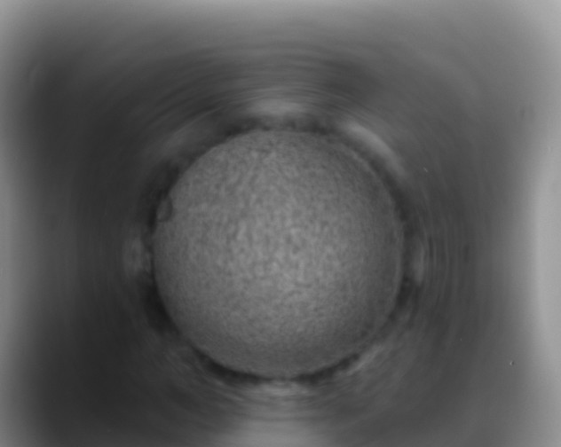 X0000088920966200706151921