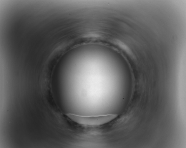 X0000088920967200706151921