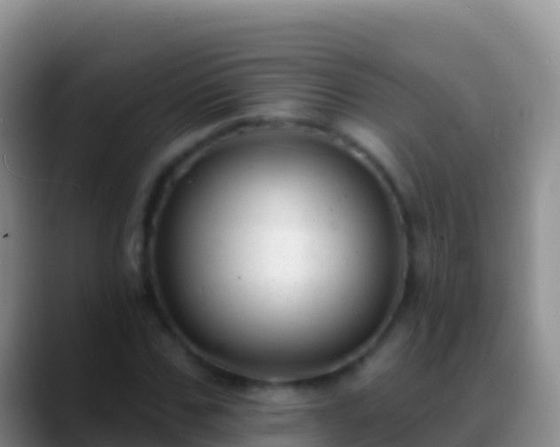 X0000088920971200706151921