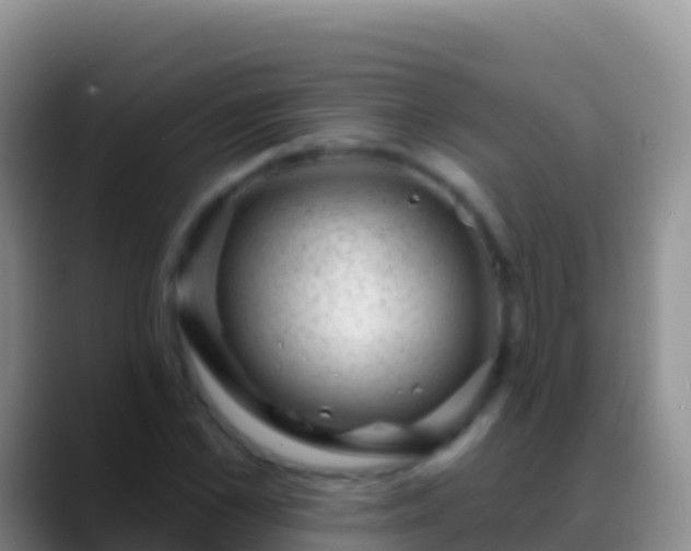 X0000088920973200706151921
