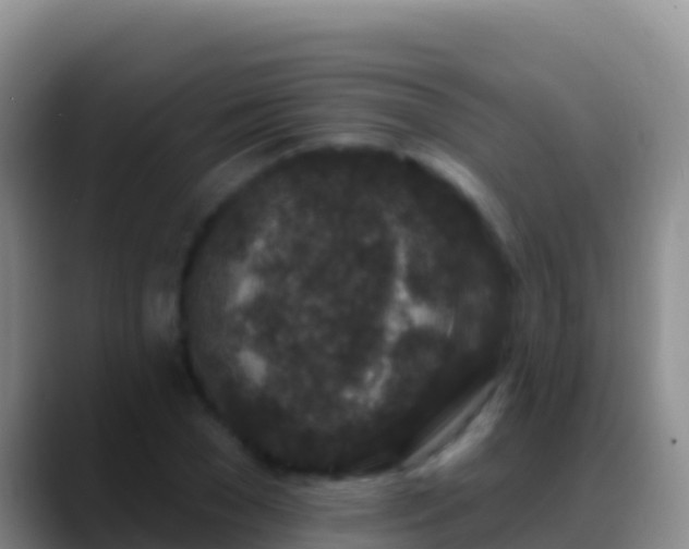 X0000088920977200706151921