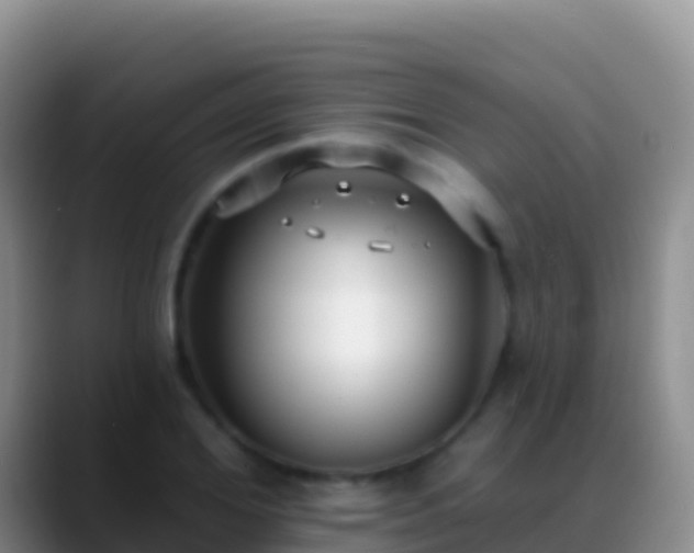X0000088920980200706151921