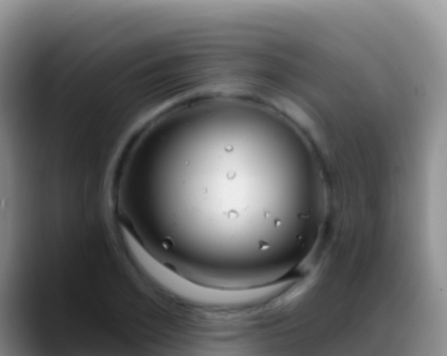X0000088920981200706151921