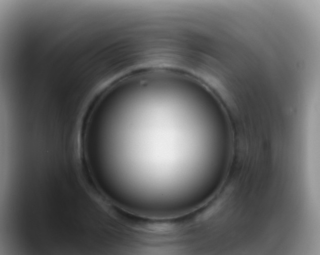 X0000088920982200706151921
