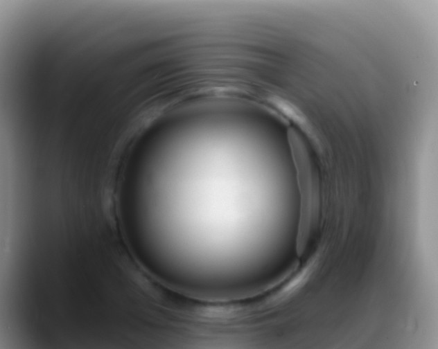X0000088920985200706151921