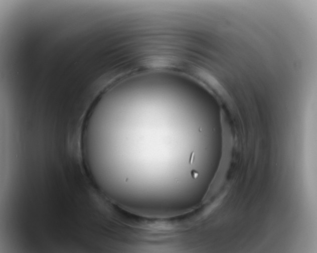 X0000088920986200706151921