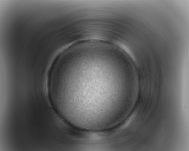 X0000088920987200706151921