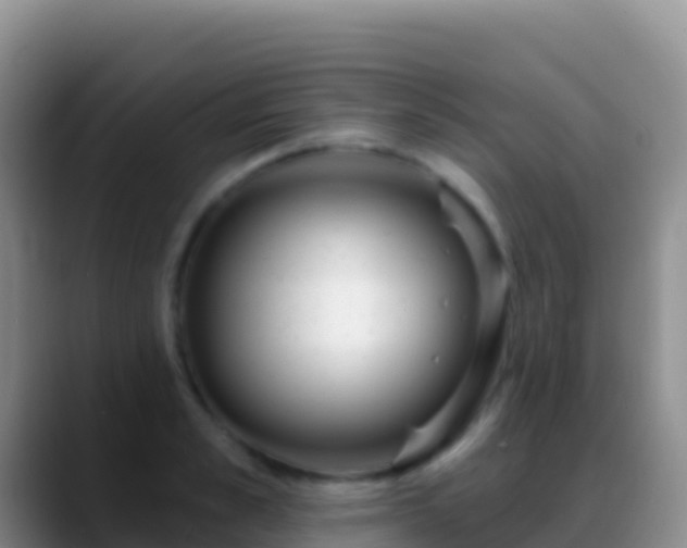 X0000088920989200706151921