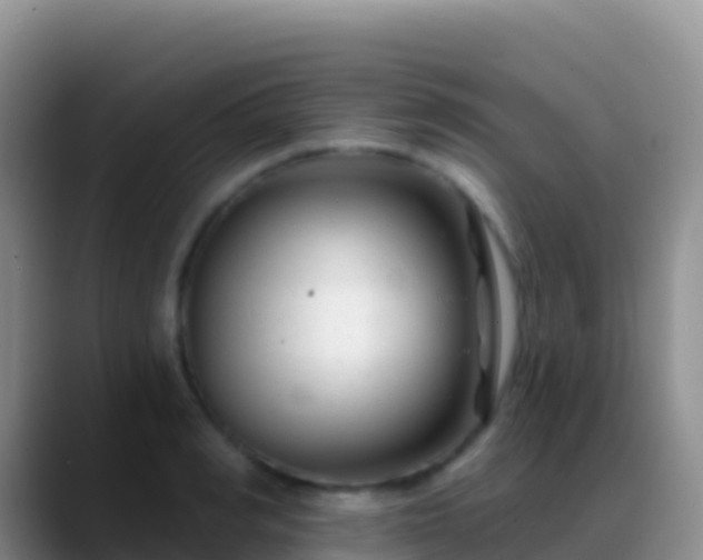 X0000088920990200706151921