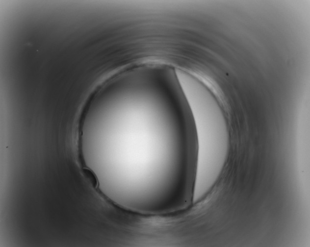 X0000088920992200706151921