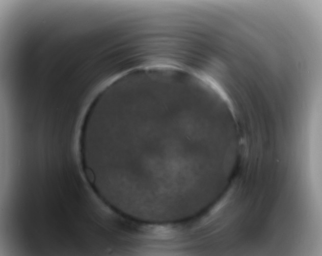 X0000088920995200706151921