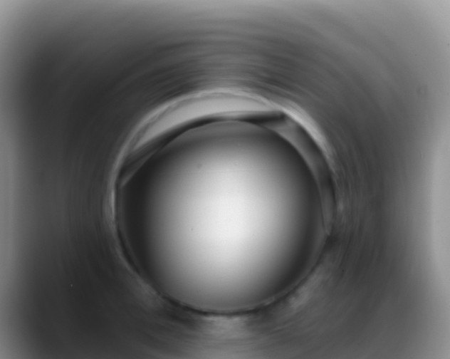X0000088920996200706151921