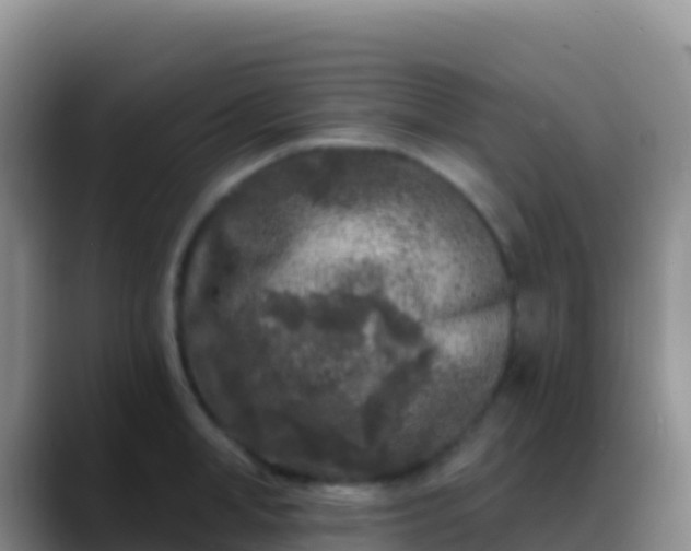 X0000088920998200706151921