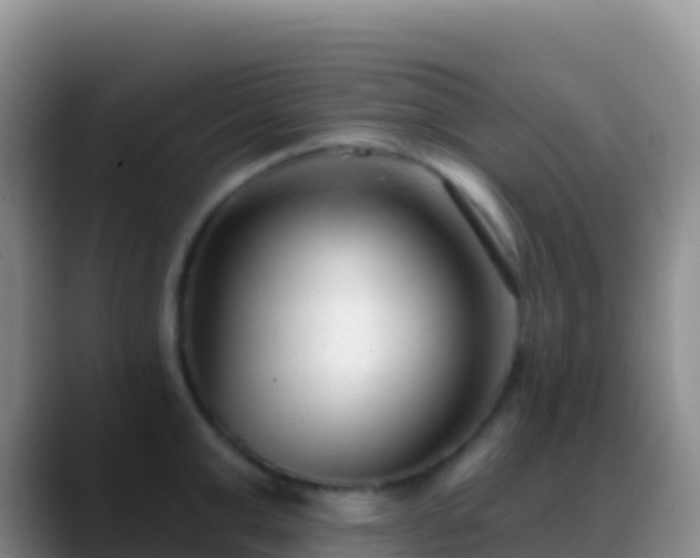 X0000088920999200706151921