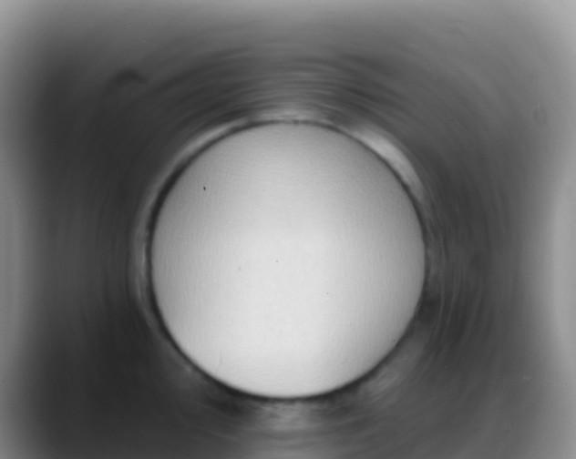 X0000088921000200706151921