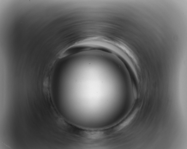 X0000088921001200706151921