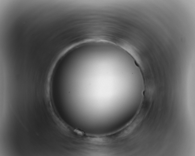 X0000088921004200706151921