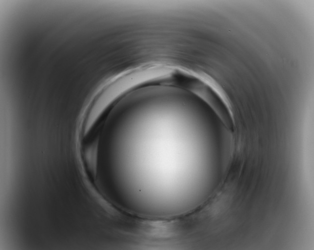 X0000088921005200706151921