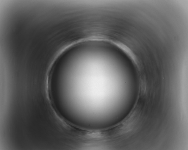 X0000088921006200706151921