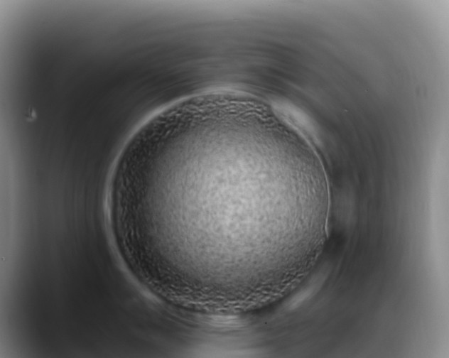 X0000088921007200706151921